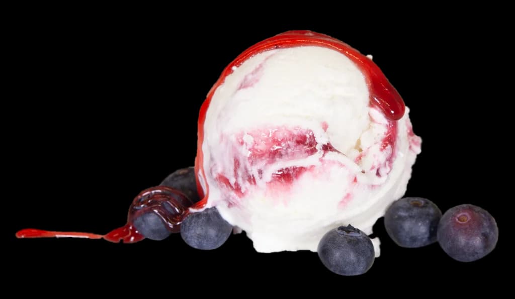 Philadelphia con Arándanos